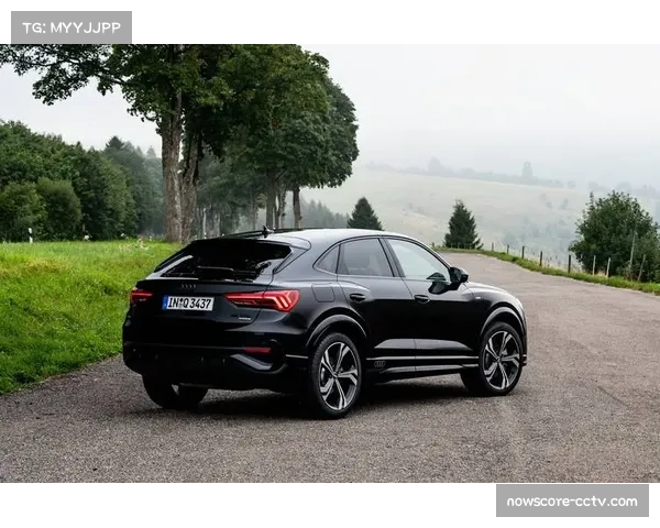 Q3赛道条件改善，十位车手均用半雨胎做最后冲刺